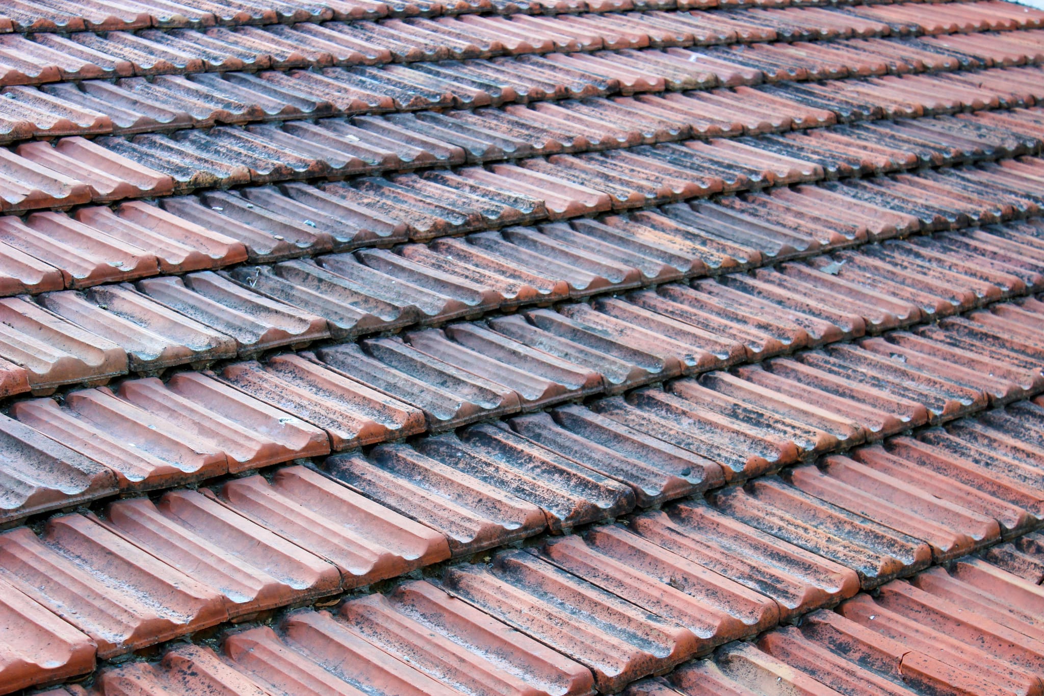 Reliable Roofing Services That Protect Your Investment
