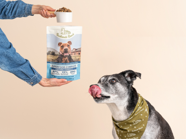 Why Dr Martys Dog Food Is Different From Traditional Kibble