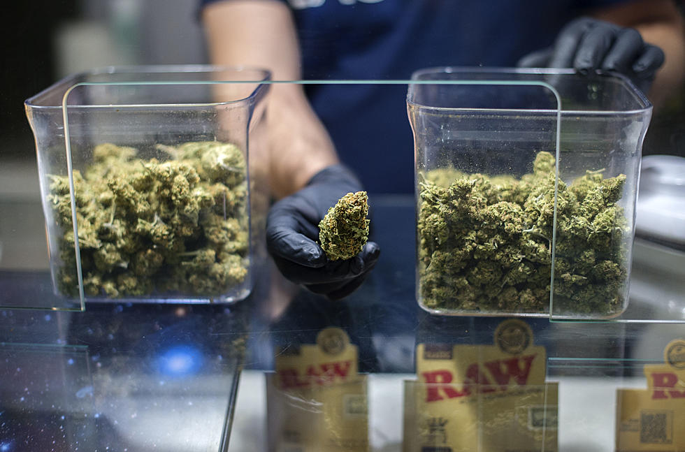 État actuel du cannabis légal espagne : Comprendre la législation et ses implications