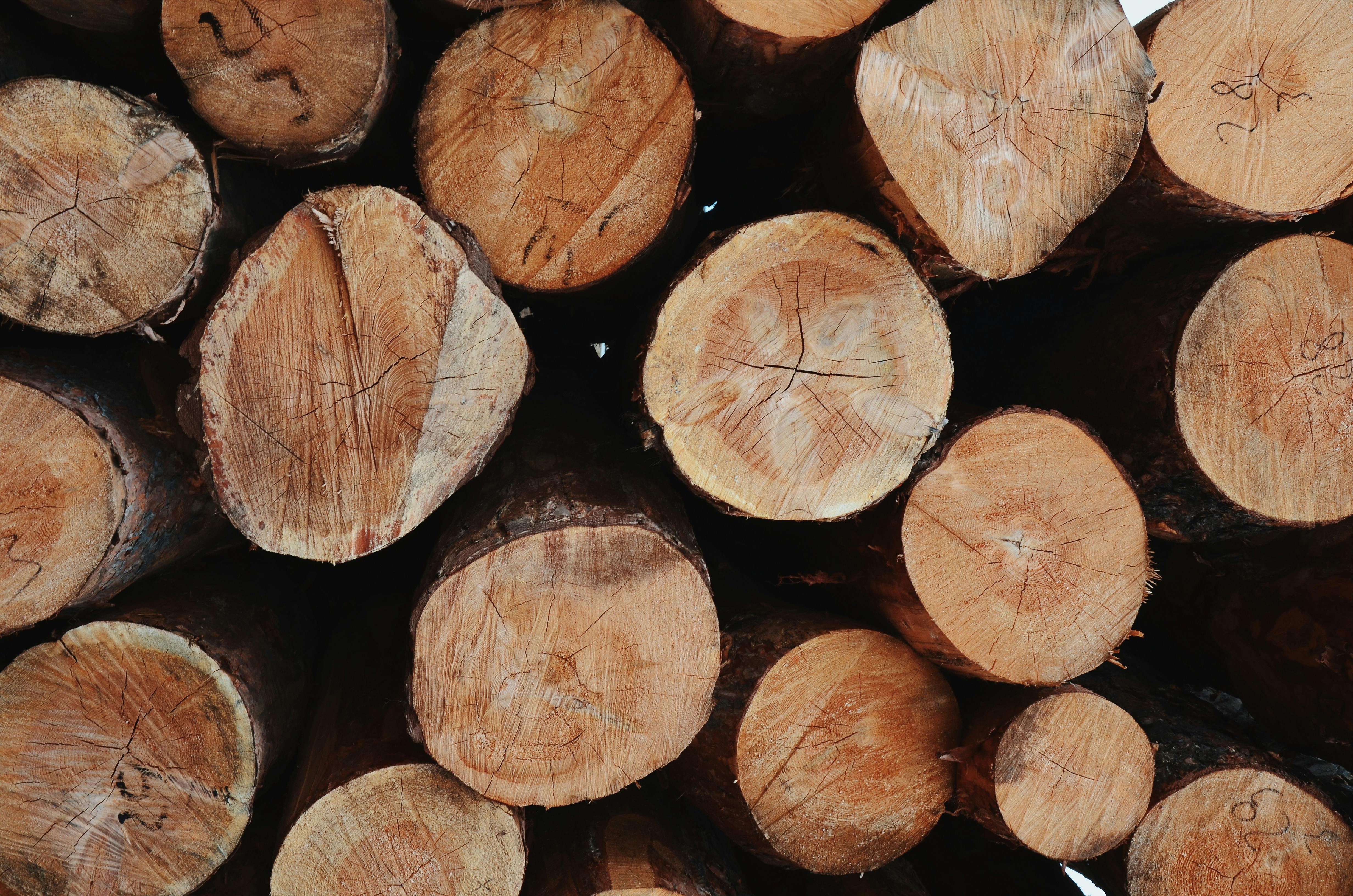 Affordable Wood Briquette with High Calorific Value
