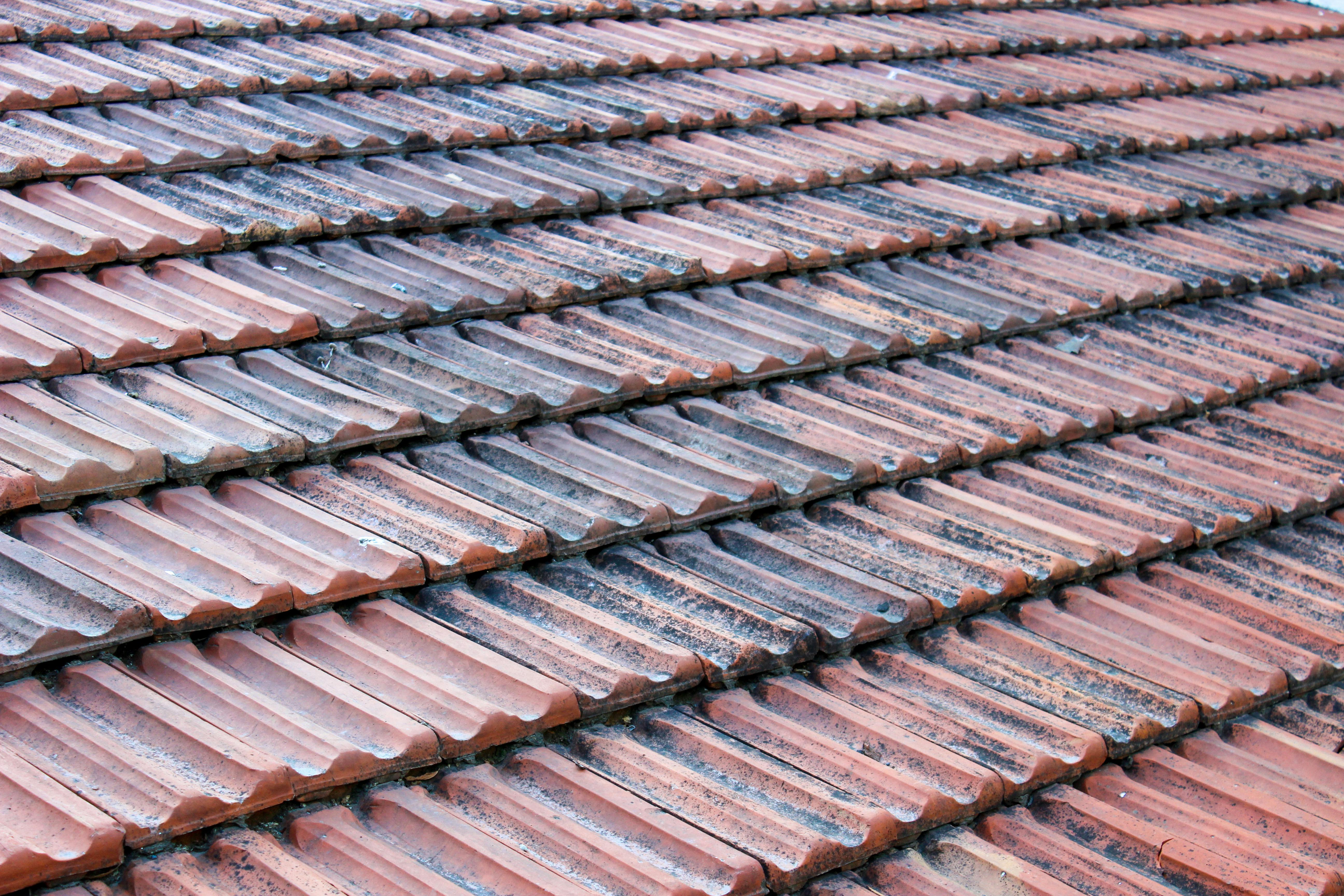 Reliable Roofing Services That Protect Your Investment